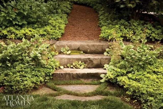 Stone steps ascend a gravel path flanked by lush green foliage and variegated plants.