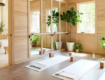 Light wood paneled room with a barre and mirrors, yoga mats, plants, and a glimpse of a freestanding bathtub in an adjacent room.