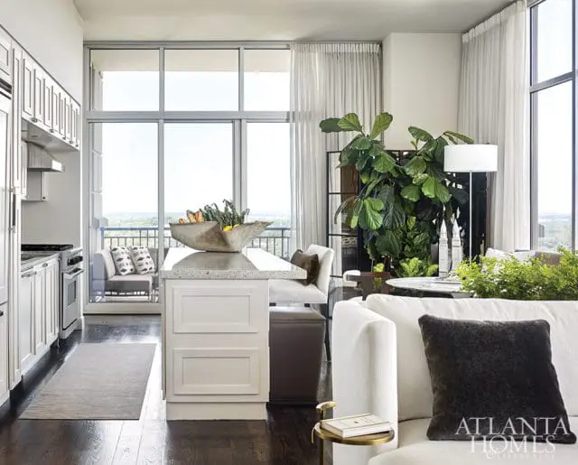 White kitchen with stainless steel appliances and island with granite countertop, open to living area with large fiddle leaf fig plant and white sofa.