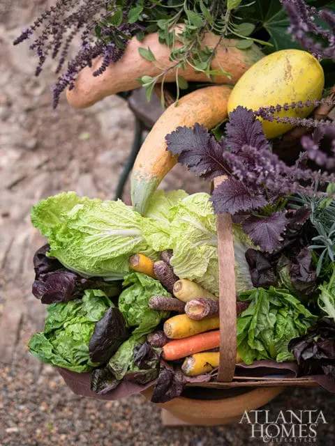 Basket overflowing with fresh produce including napa cabbage, colorful carrots, lettuce, purple mustard greens, squash, and herbs, with Atlanta Homes & Lifestyles logo in the corner.