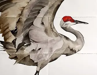 Watercolor painting of a sandhill crane with wings partially spread and a red patch on its head.
