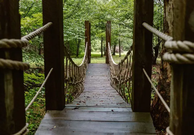Wooden suspension bridge with rope railings leading into a lush green forest