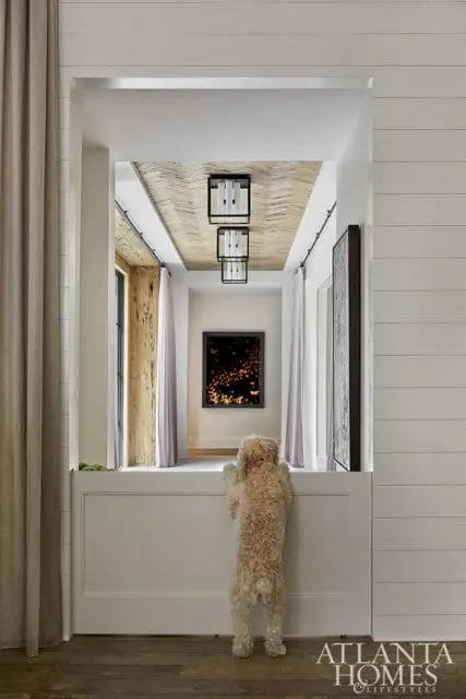 Hallway with shiplap walls, textured wood ceiling, and modern black pendant lights. A dog stands on its hind legs looking through an opening.