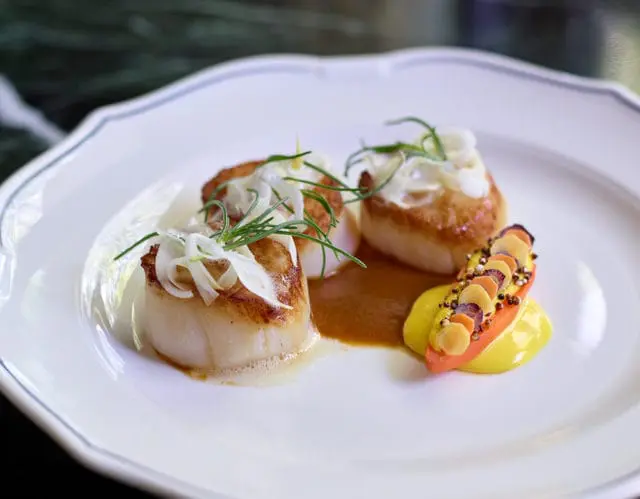 Seared scallops topped with thinly sliced white onion and fresh herbs, served with a carrot and beet garnish on a yellow sauce and brown reduction on a white plate.
