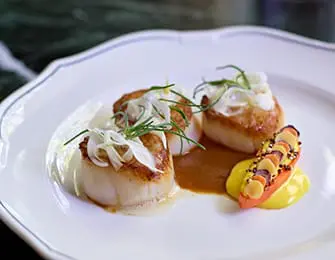 Three seared scallops topped with thinly sliced white vegetables and herbs, served with a yellow puree and a garnish of sliced carrots and herbs on a white plate.