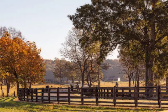 Wooden fence in a field with trees showing fall foliage and a distant building under a clear sky