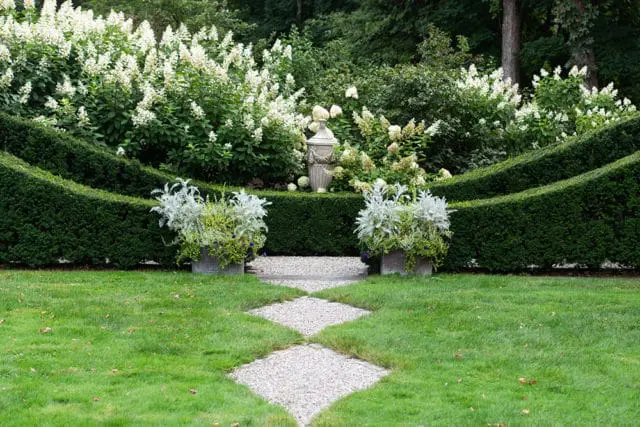 Formal garden with manicured green hedges, white hydrangeas, two large planters with silver foliage, and a gravel pathway leading to a stone urn.