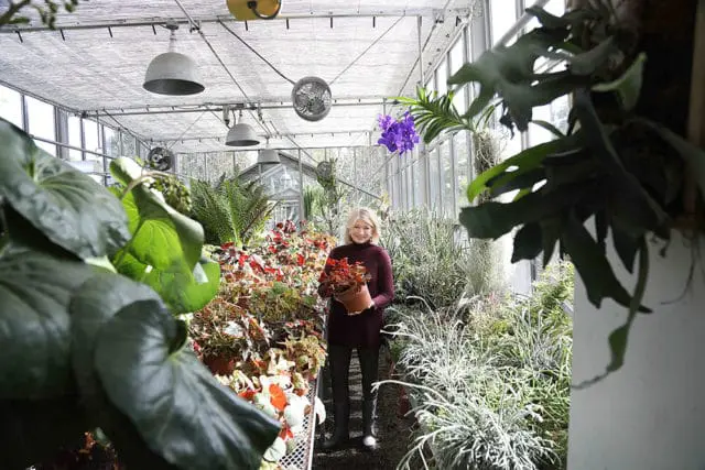 Woman holding a potted plant in a greenhouse filled with various plants, including ferns, begonias, and orchids.