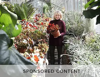 Woman holding a potted plant in a greenhouse surrounded by lush foliage.