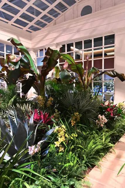 Indoor garden display with banana trees, agave, ferns, and orchids under a glass ceiling with white grid framework.