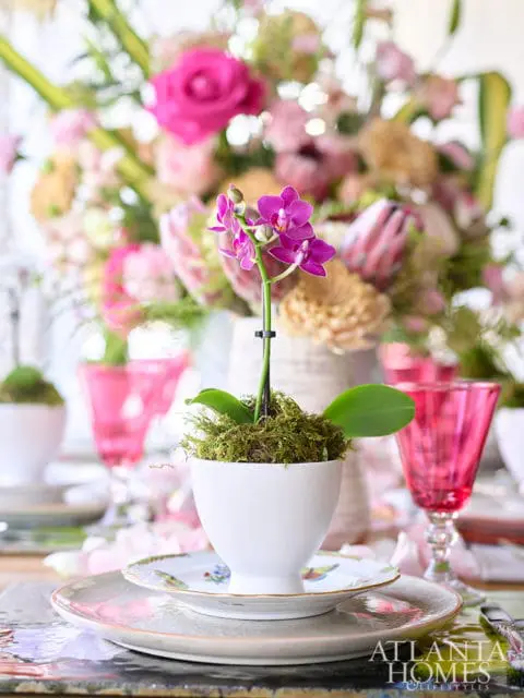 Close-up of a small purple orchid in a white cup with moss