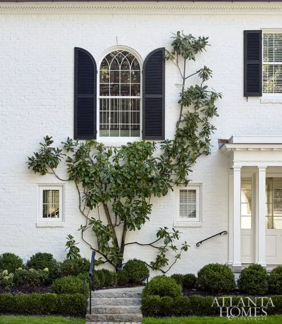 White brick house with arched window, black shutters, and climbing vine.