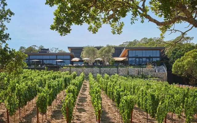 Modern building with large windows overlooking a vineyard and trees