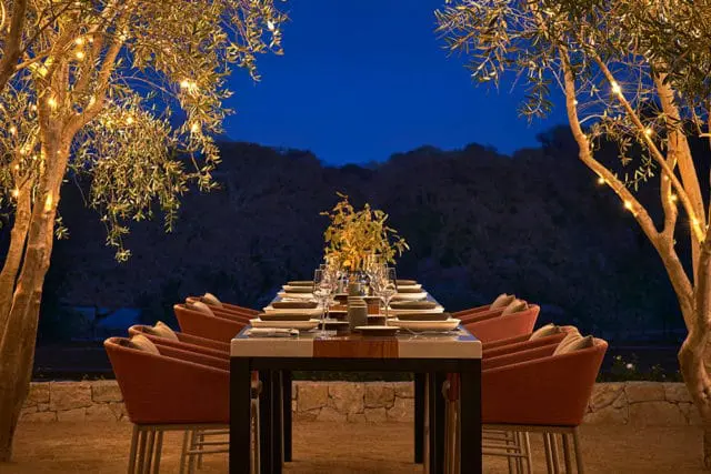 Outdoor dining table set with orange chairs under olive trees with string lights at dusk