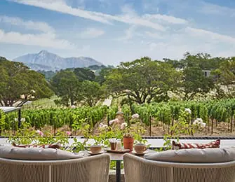 Terrace seating overlooking vineyard with mountains in distance