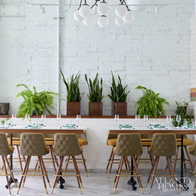 Dining room with white brick walls, tufted bar stools, and snake plants.