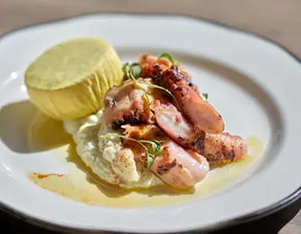 Grilled octopus tentacles served over mashed potatoes with a yellow puree