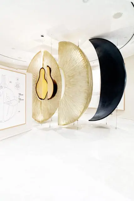 Abstract sculpture of sliced fruit with yellow seeds hanging in a white room with diagrams on the