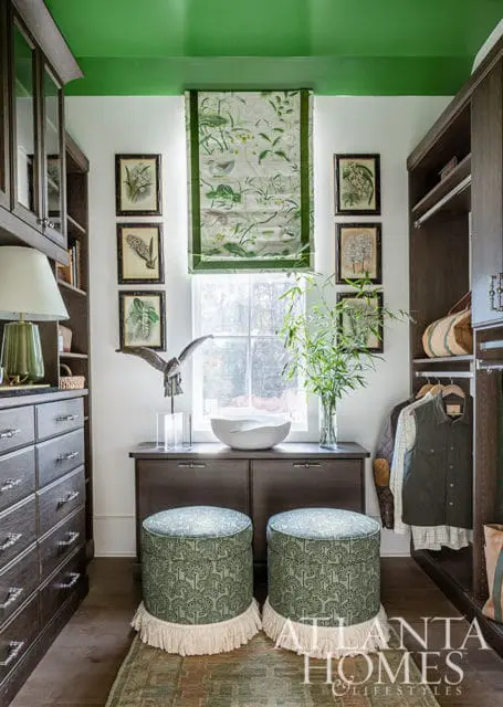 Closet with dark wood cabinetry, green ceiling, botanical prints, and two patterned ottomans