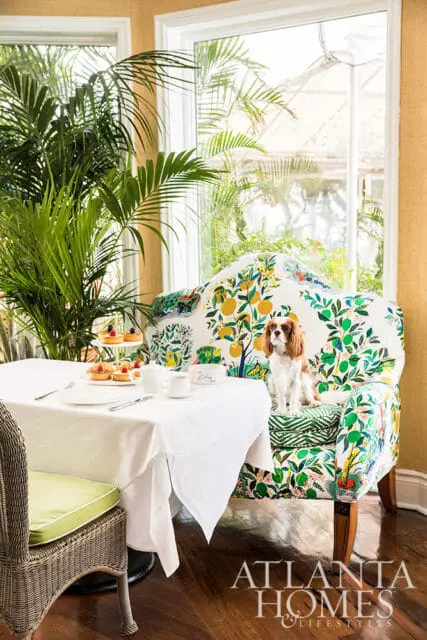 Dog on a chair upholstered in a fruit and leaf pattern, next to a table set for tea.