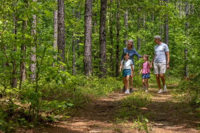 Family walking on a wooded path with tall trees and lush green foliage