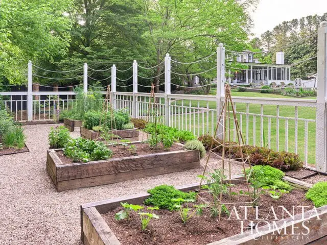 Raised garden beds with various vegetables and herbs, surrounded by gravel paths and a white fence. A large house is visible in the background.