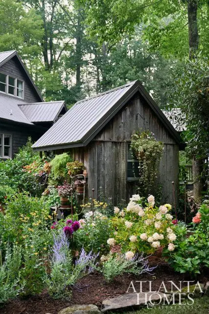 Wooden shed surrounded by lush garden with hydrangeas and purple flowers. Atlanta Homes &