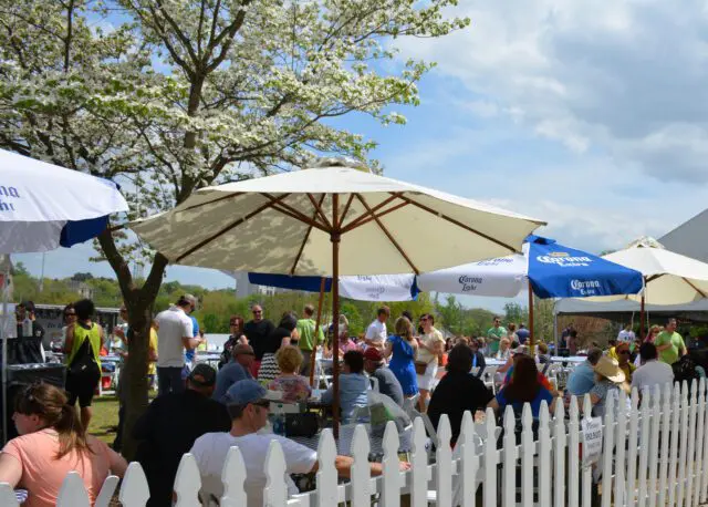 Outdoor gathering with people seated at tables under umbrellas, with a flowering tree and white