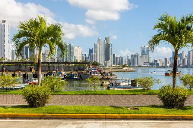 City skyline with boats docked in the harbor, palm trees in the foreground.