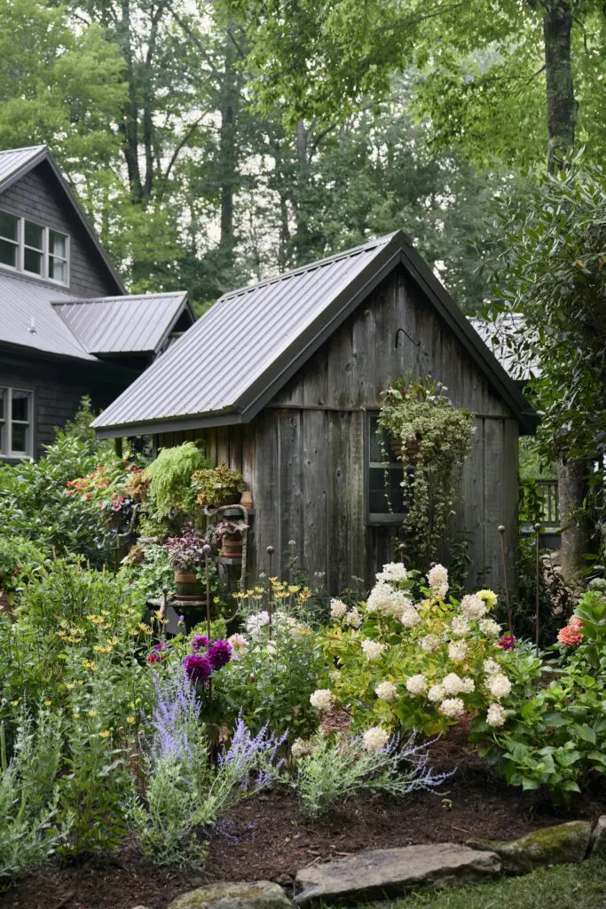 Rustic wooden shed surrounded by lush garden with hydrangeas and purple flowers