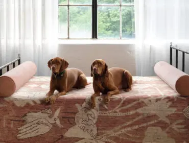 Two Vizsla dogs lying on a bed with a patterned rug and pink bolster pillows.