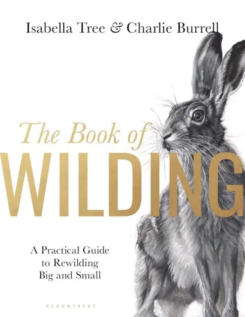 Book cover: ‘The Book of Wilding’ featuring a rabbit.