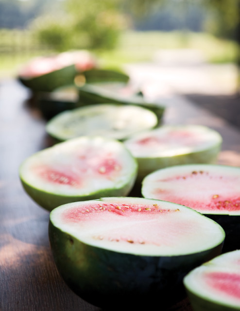 A bumper crop of heirloom watermelon halves line up on an antique farm table at Anne Quatrano and Clifford Harrison’s Summerland Farm in Cartersville.