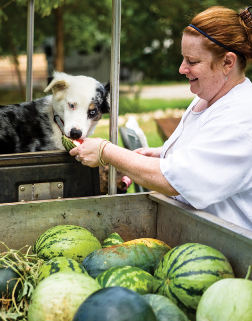 Chef Anne Quatrano gives Petey, a shepherd mix, a sample straight from the garden.
