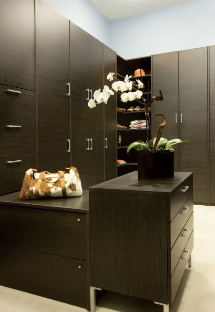 Dark wood walk-in closet with floor-to-ceiling cabinetry, a cowhide duffel bag, and a white orchid plant on a dresser.