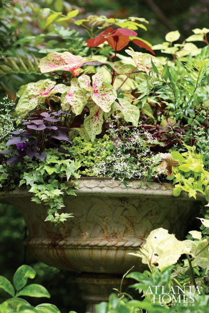 Ornate stone urn overflowing with lush greenery including variegated caladiums, purple sweet potato vine, and trailing ivy.