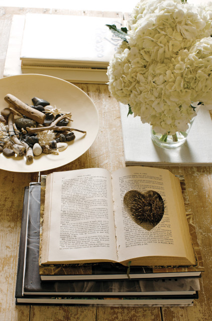 Open book with a spiky heart-shaped object on the page, next to a bowl of shells and driftwood, and a vase of white hydrangeas.