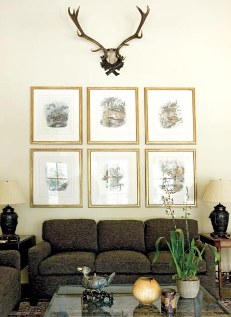 Living room with dark upholstered sofa, wall of six framed botanical prints, and mounted deer antlers above.