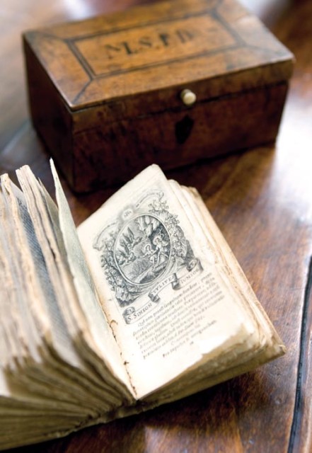 Angela purchased several antique vellum books because she was drawn to the soft look.