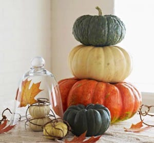 Stack of pumpkins including green, cream, and orange varieties, with smaller pumpkins under a glass cloche decorated with a leaf