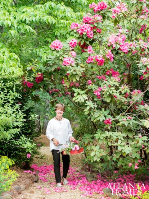 Carole McWilliams tends her collection of Anna Rose Whitney rhododendrons.