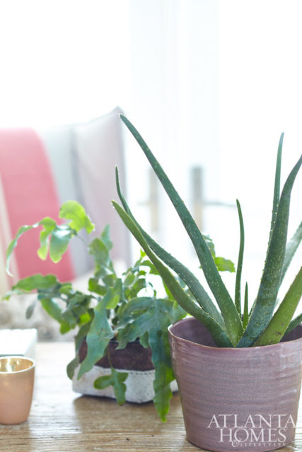 Potted plants add a touch of nature to the bedroom desk.