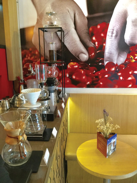 Step into the café outpost of the Hacienda San Alberto, the most prized coffee in Colombia, where you can become a specialist in coffee roasting and brewing methods.