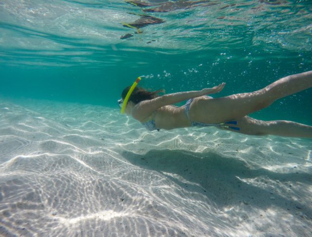 The Galápagos is one of the world’s best places for snorkeling and diving.