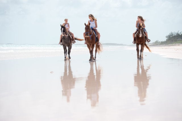 Harbour Island’s pink-sand beaches are best traveled by horseback.