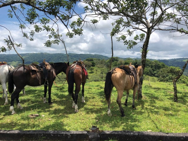 Ride horseback for a close-up view of the volcano.