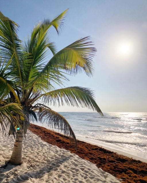 The hotel is nestled along the shimmering waters of Riviera Maya.