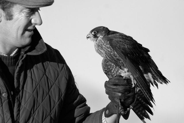 Falconry is one of the many outdoor recreational activities available on-site.