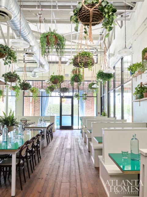Restaurant interior with hanging plants, white booths, and long tables with teal tops on distressed wood floors.