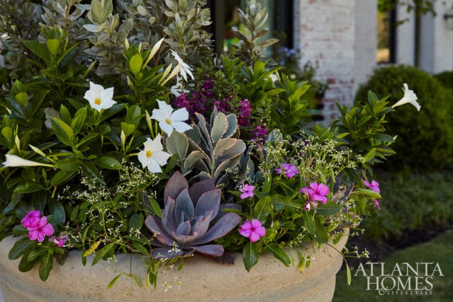 Large stone planter filled with white, pink, and purple flowers, succulents, and lush green foliage. A brick building and manicured bushes are visible in the background.